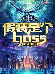 װǸboss½б,װǸbossȫĶ